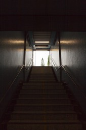 Kowloon Tong stairs-2